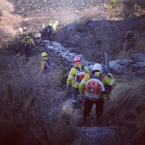 Bombero en acción
